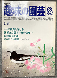 NHK 趣味の園芸 昭和56年 8月 シダ ミニの観葉を楽しむ ガーデニング 盆栽 花壇 菜園