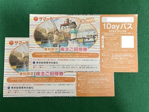 東京サマーランド　6月24日まで使用可能 2名　招待券 ワンデイパス フリーパス 1DAYパス 乗り放題 ※匿名発送