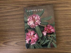 シャクナゲとツツジ 東京山草会　/A102