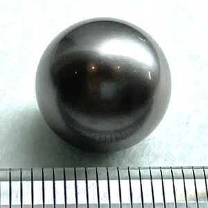 ソ付き!!1円〜!!☆南洋黒蝶真珠15.457ct☆n 約12.88mm ルース 裸石 宝石 black pearl tahitian 真珠 CG8/CG8 テEA5◎ w5A94