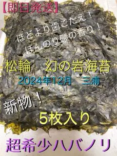 【即日発送】新物　希少ハバノリ神奈川三浦松輪幻の岩海苔5枚入り約30〜35g