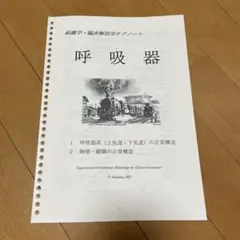 呼吸器系の正常構造