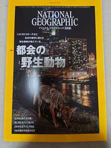 ナショナルジオグラフィック日本版2022年7月号都会の野生動物