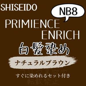 最安値 資生堂 NB8 白髪染め ショート ヘアカラー剤 セット付 ヘアカラー 少し明るめ 色持ち良し 自然な地毛に近いナチュラルブラウン