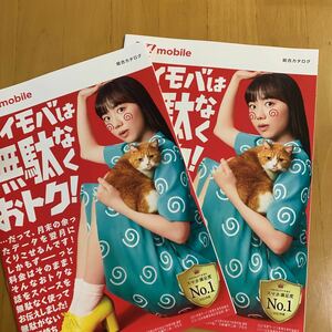 ワイモバイル Y!mobile カタログ 2冊 2022年6月 芦田愛菜