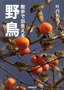 散歩で出会える野鳥/叶内拓哉(著者)