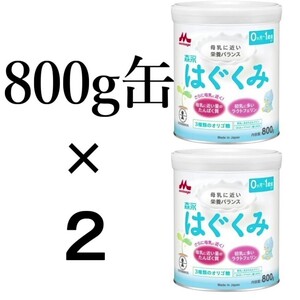 森永はぐくみ800g缶×2 (計2缶) 粉ミルク