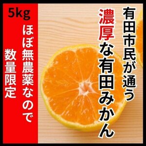 みかん 有田みかん ほぼ無農薬！甘い！農薬少 和歌山 5kg おいしい ミカン 蜜柑 減農薬 訳あり 愛媛みかんと競合 B ミックス 送料別10