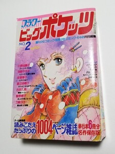 フラワー ビッグポケッツ　ちゃお12月号増刊　昭和56年発行　小学館