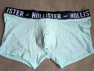 * 新品 HOLLISTER ホリスター ボクサー ブリーフ トランクス パンツ XXL / Light Green *