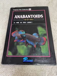 Tropical fish collection (5) ANABANTOIDS ベタ・グーラミィ