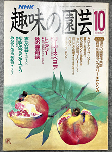 NHK 趣味の園芸 平成元年 10月 リーガース・ベゴニア トピアリー ガーデニング 盆栽 花壇 菜園