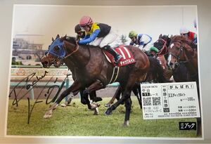 競馬　レイチェルキング　R.キング　直筆サイン写真　チャックネイト　AJCC 現地がんばれ馬券コピー付き　