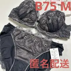 チュチュアンナ　ブラジャー＆ショーツ　B75&M