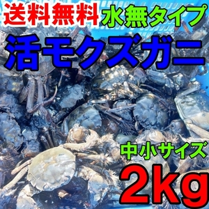 活モクズガニ【海水なしタイプ】 小中サイズ２kg(目安 20-40杯) ツガニ つがに 他に大サイズも出品中 もくずがに