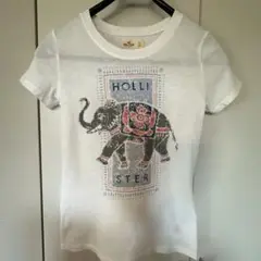 Hollister ホリスター　Tシャツ