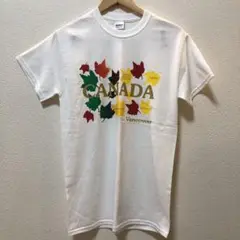 カナダ ギルダンTシャツ ホワイト 新品未使用