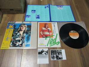 テッド TED 青きバージン諸島 BLUE VIRGIN ISLES 国内 LP 帯付き DJ盤 ABBA アバとの写真 他 宣材付き リー・リトナー ジェフ・ポーカロ 