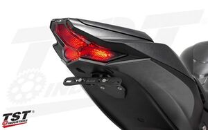 TST Industries ZX10R (16-24) プログラミング機能付 スモーク LEDテールライト LEDウィンカー内蔵 ZX-10R 16 17 18 19 20 21 22