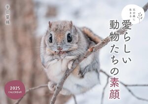 北の森に生きる愛らしい動物たちの素顔カレンダー 2025（壁掛け） ([カレンダー])