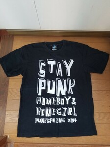 punkspring 半袖Tシャツ パンクスプリング 2014 フェスt-シャツ 10-feet mwam 中古 古着 美品 匿名配送