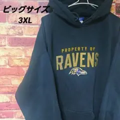 ビッグサイズ！ reebok 万国旗タグ Ravens パーカー