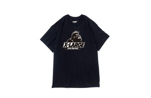 AIR JAM 2016 XLARGE コラボTシャツ M Hi-standard KenYokoyama PIZZA OF DEATH エクストララージ マキシマムザホルモン 10-FEET ONEOKROCK