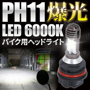 PH11 LED ヘッドライト バイク バルブ ホワイト ホンダ Honda リード ライブディオ Dio スズキ SUZUKI V125S タクト スマートディオ