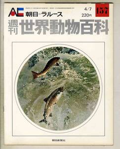 【d8844】74.4.7 週刊世界動物百科157／サケ、ニシン、ウルメイワシ、オステオグロッサム、… [朝日=ラルース]