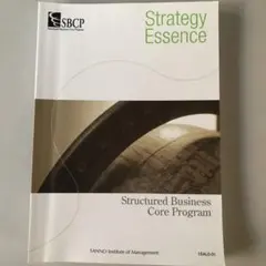 Strategy Essence Structured Business