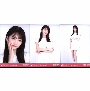 【11/14-58】乃木坂46 公式グッズ 生写真 3種コンプ　3枚　ヨリチュウヒキ　会場限定　菅原咲月　2023.July-Ⅲ リボンモチーフ