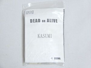 オーバーダード デッドオアアライブ かすみ KASUMI OVER DARD 佐藤弘 DEAD OR ALIVE ガレージキット ガレキ