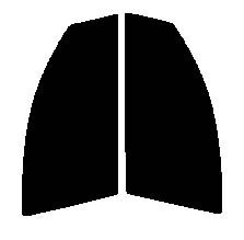 ハーフスモーク　７６％　運転席、助手席　パッソ　C10・C15　カット済みフィルム