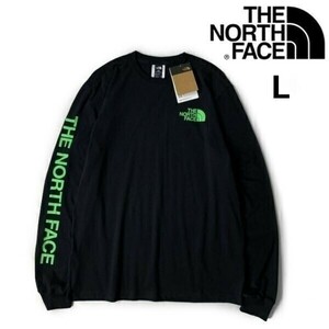 1円～!売切!【正規新品】THE NORTH FACE◆L/S HIT GRAPHIC TEE 長袖 Tシャツ ロンT US限定 2023最新 袖ロゴ 男女兼用(L)黒 180902-23