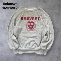 人気！Unknown HARVARD ラグランプリントスウェットShinzone