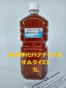 【バクテリア本舗 本店】サムライEX [3L]高濃度水質浄化バクテリア液(らんちゅう,めだか,グッピー,金魚,錦鯉,シュリンプ,熱帯魚,海水魚）