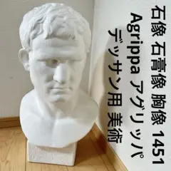 石像 石膏像 胸像 1451 Agrippa アグリッパ デッサン用 美術