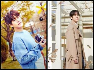 SUPER JUNIOR SJ ギュ キュヒョン KYUHYUN ポスター 2枚セット トレカ 4th Mini Album Love Story (4 Season Project 季) 君に会いに行く