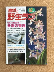 自然と野生ラン 2001年12月号　富貴蘭 春蘭 フユノハナワラ エビネ ※ 園芸JAPAN