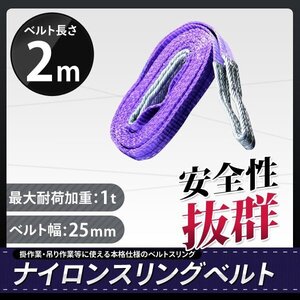 全国一律【送料無料】ナイロンスリングベルト 荷重1000kg 1t 2m 幅25mm ベルトスリング 吊りベルト 玉掛け 吊上げ ロープ 牽引 運搬