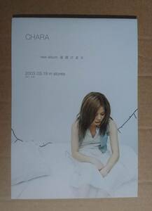 超貴重！◆Chara◆アルバム「夜明けまえ」の非売品チラシ◆アルバム全曲セルフ解説付き！◆新品美品◆フライヤー