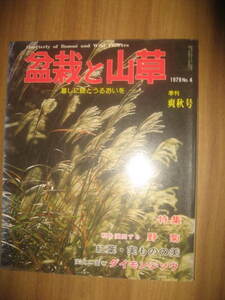 盆栽と山草 1979年 爽秋号 野菊 紅葉・実ものの美 ダイモンジソウ