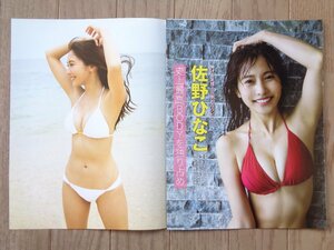 【５件同梱可能！！】佐野ひなこ　切り抜き（２９ページ）