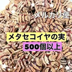 小さい木の実　メタセコイアの実　500個以上　クラフト素材　リース　匿名配送