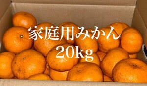 【熊本県産】みかん 訳あり 家庭用 20kg