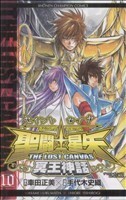 聖闘士星矢　ＴＨＥ　ＬＯＳＴ　ＣＡＮＶＡＳ　冥王神話(１０) チャンピオンＣ／手代木史織(著者),車田正美