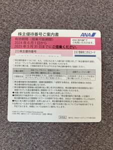 ANA株主優待券1枚 全日空 航空券 割引券 クーポン券 チケット