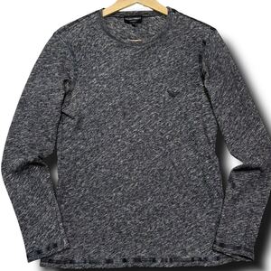 希少● EMPORIO ARMANI エンポリオアルマーニ 長袖 Tシャツ イーグルロゴ グレー Mサイズ