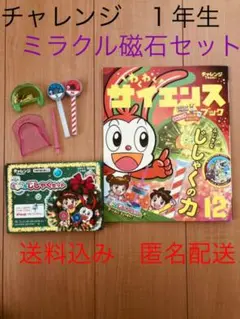 チャレンジ１年生　ミラクルじしゃくセット　サイエンスブック　12月号　磁石　知育