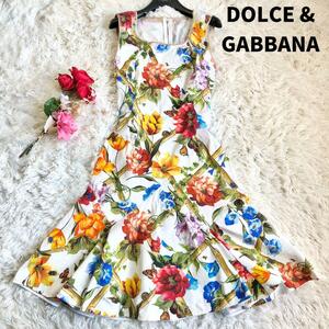 【美品】ドルチェ＆ガッバーナ 花柄 ワンピース ひざ丈 L 大きいサイズ DOLCE&GABBANA 